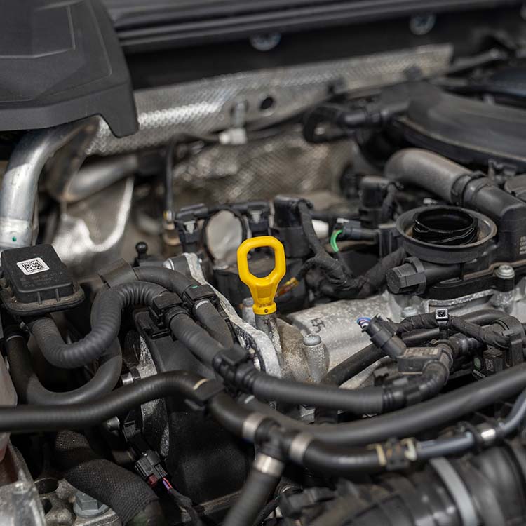 CUPRA Servicing Worcester